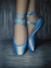 BlueShoes